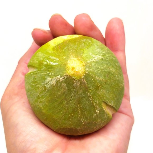 Alabaster Stone Marble Fruit Green FIG Purple PLUM Lot x3 Vintage Faux Realistic - Picture 7 of 8